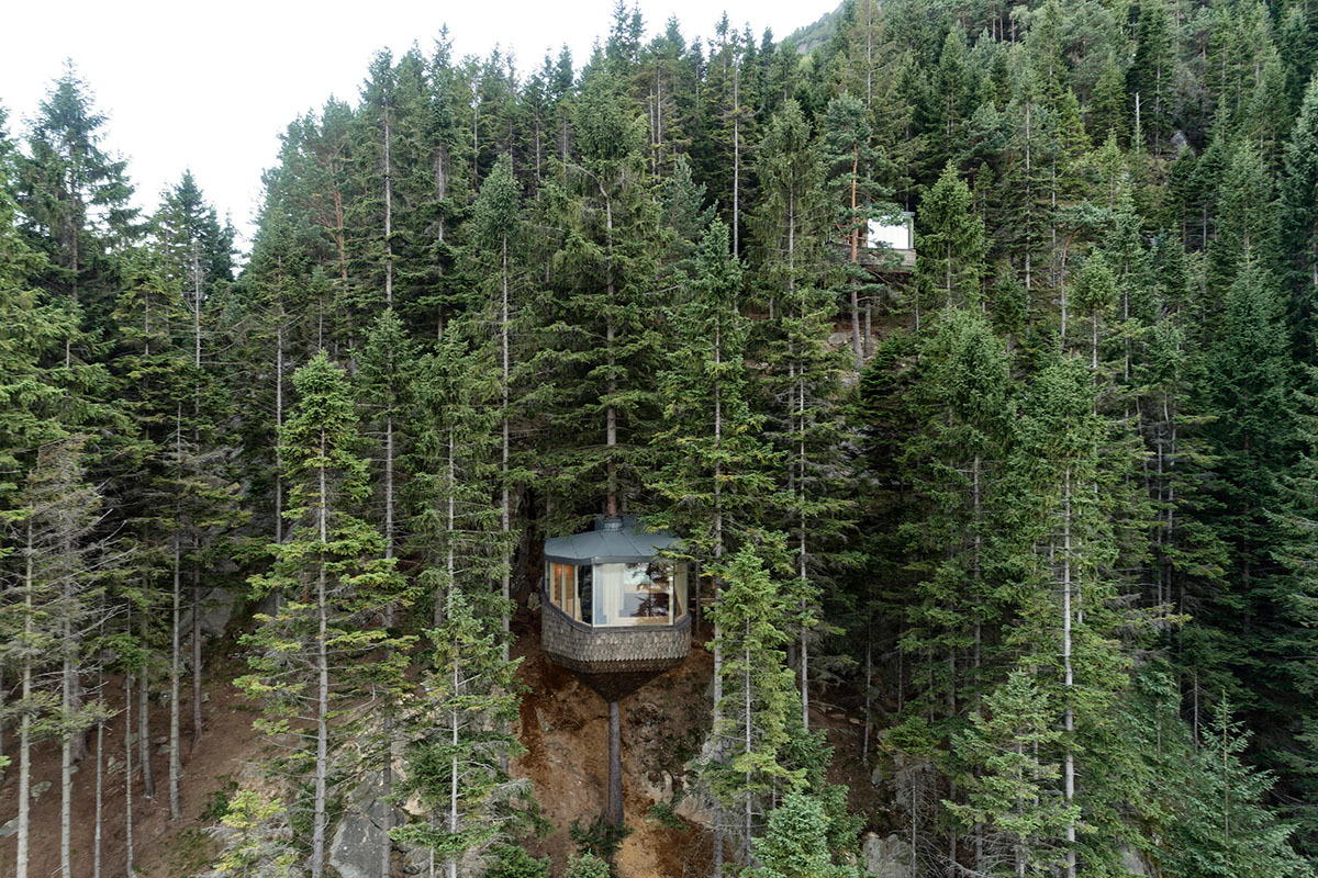 treehouse in the forest